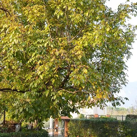 Fable Terni